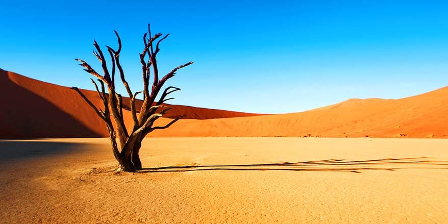 Sossusvlei Dunes